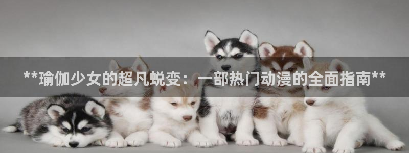 2024欧洲杯官方网站首页