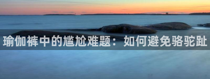 欧洲杯投注官方网站入口
