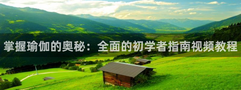 欧洲杯投注官方网站入口