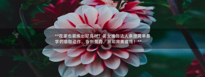 欧洲杯哪里买球靠谱