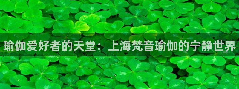 2024欧洲杯竞猜网址