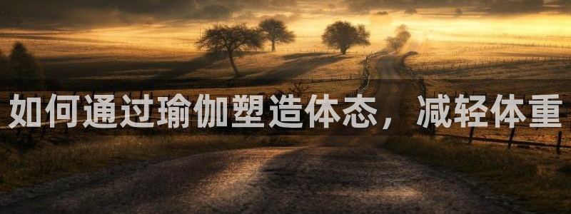 2024欧洲杯买球手机版