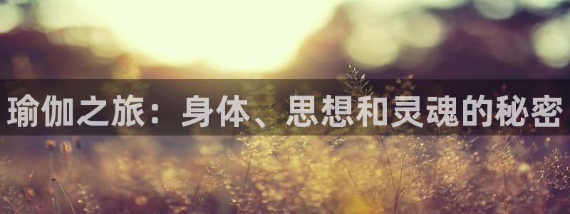 欧洲杯下单平台官方网站