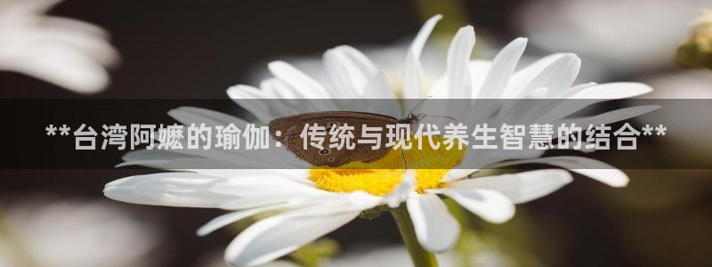 网上哪个平台可以买足球