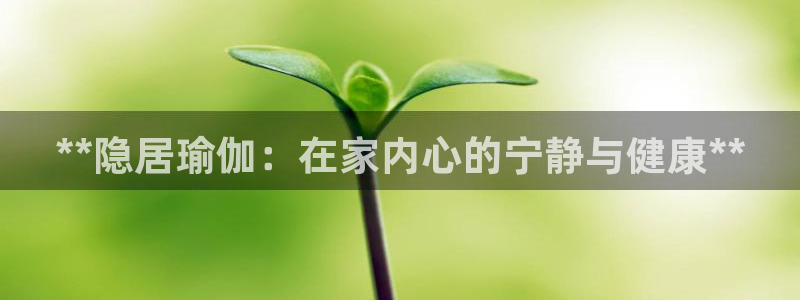 欧洲杯买球网