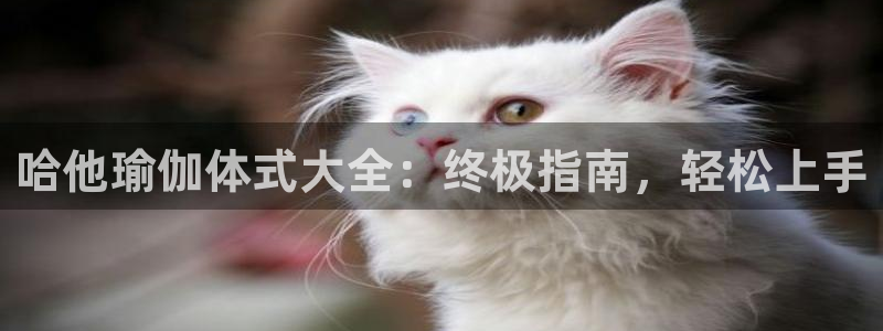 欧洲杯下单平台