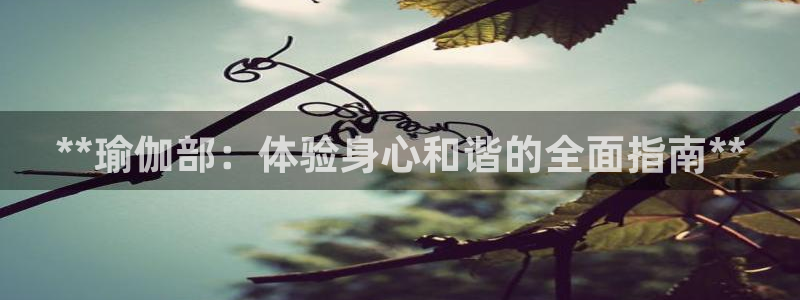 怎么买欧洲杯