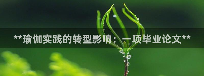 欧洲杯可以买冠亚军吗
