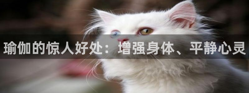 欧洲杯线上买球