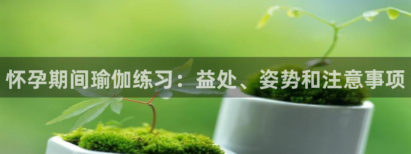 欧洲杯彩票哪里买