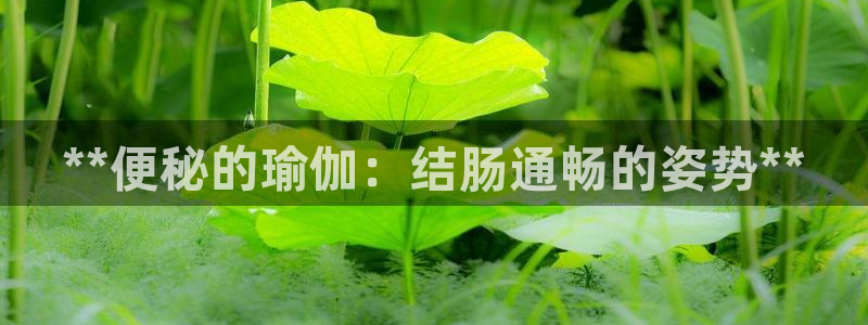 2024年欧洲杯投注