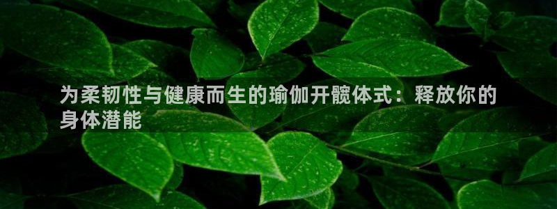 2024欧洲杯竞猜网址