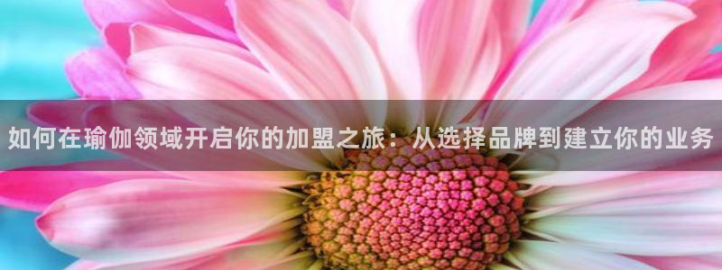 欧洲杯买足球软件