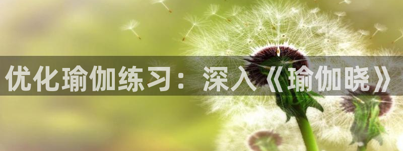 欧洲杯押注怎么买