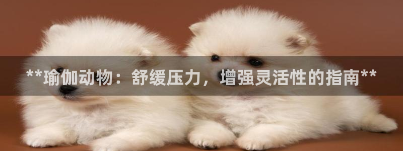 欧洲杯押注入口