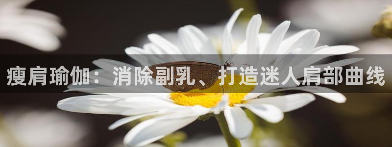 足球赌注平台app