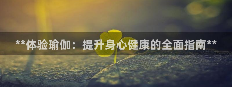 怎么买欧洲杯