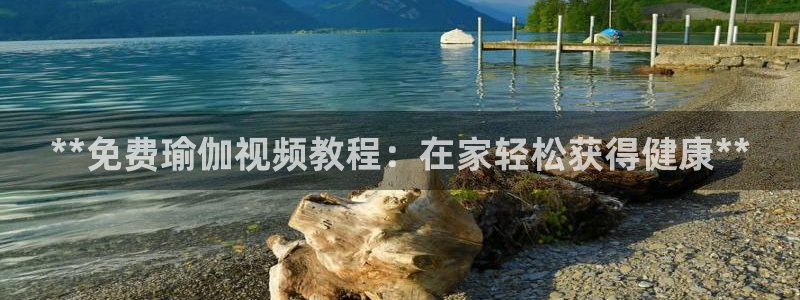 欧洲杯下单平台官网网址