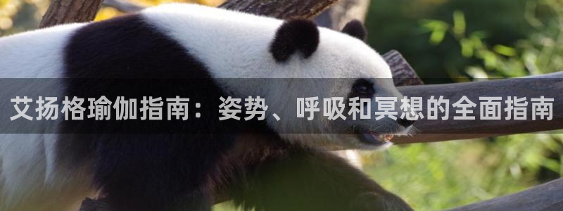 欧洲杯kaiyun