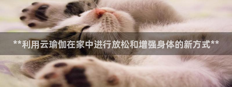 欧洲杯投注官方网站入口