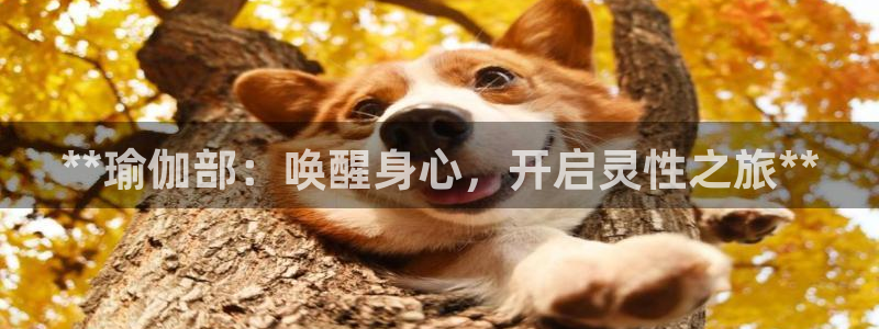 欧洲杯下单网址