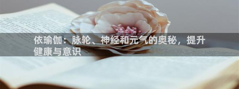 欧洲杯买足球软件