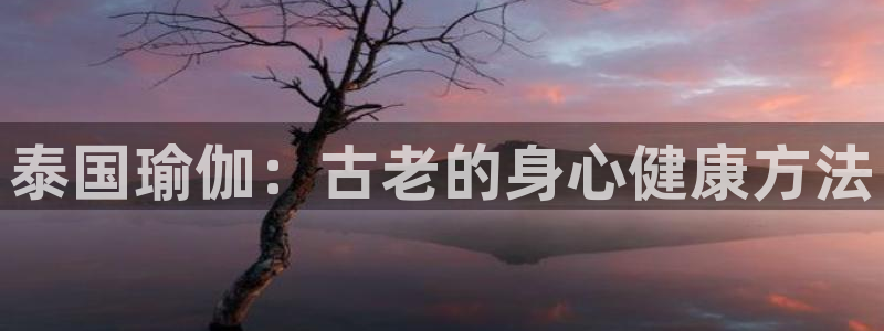 欧洲杯下单平台官网