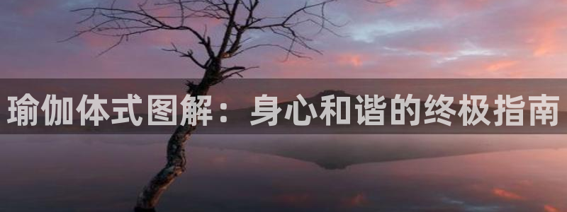 欧洲杯靠谱买球平台