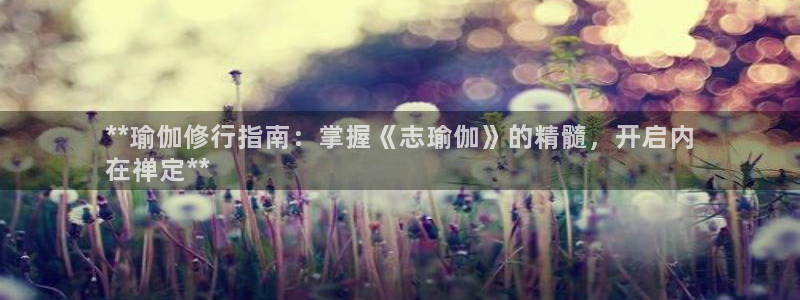2024欧洲杯买球手机版