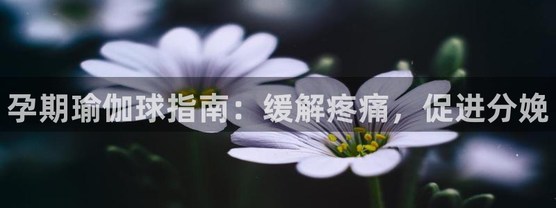 买球平台官方网站