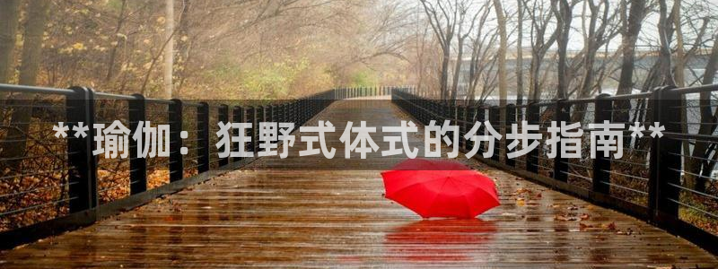欧洲杯下赌注平台
