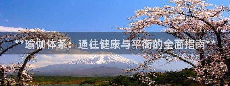 欧洲杯买足球软件有哪些