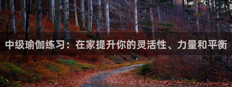 欧洲杯投注在哪找网址