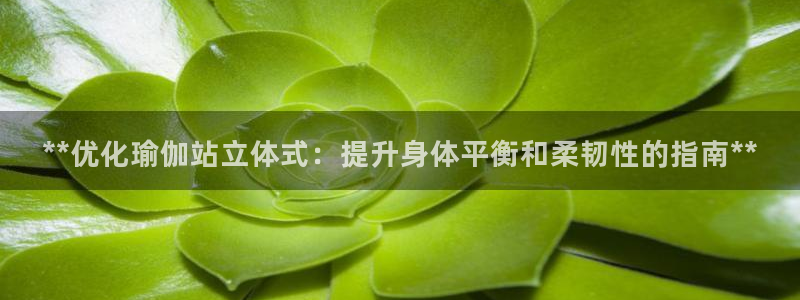 买球平台官方网站
