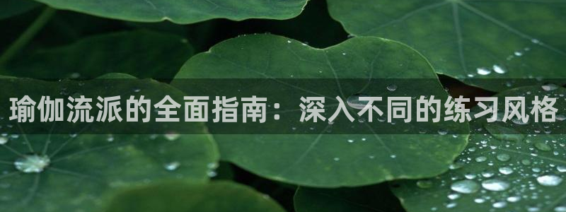 买欧洲杯的竞猜在那个app