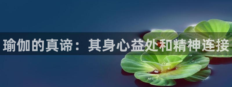 欧洲杯可以买冠亚军吗