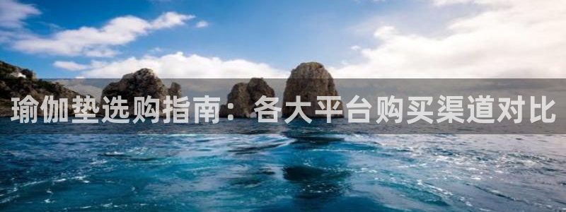 欧洲杯下单平台官网网址