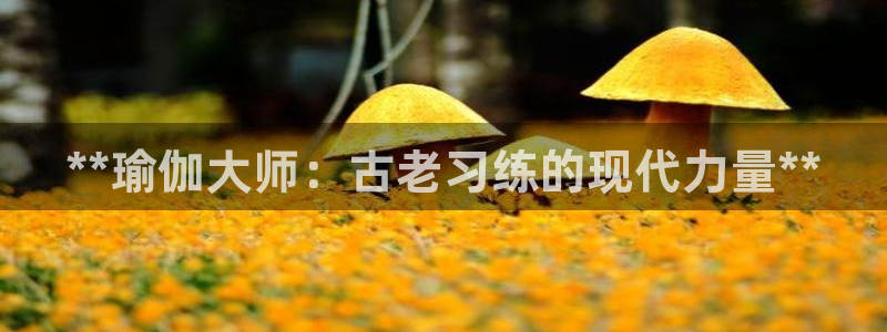 欧洲杯买球怎么买