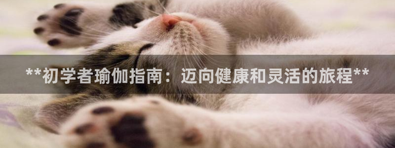 2024欧洲杯竞猜网址
