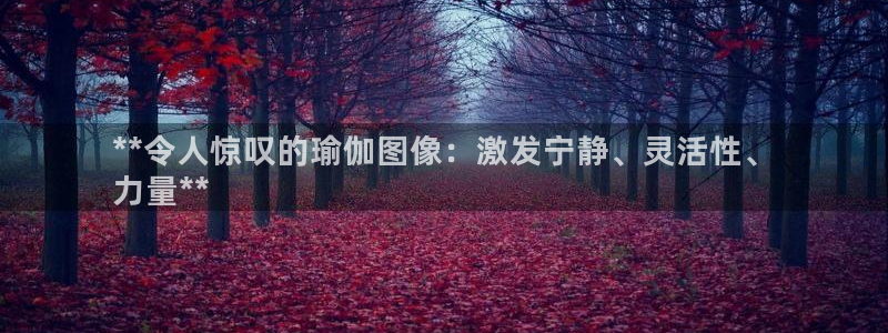 欧洲杯哪里买球靠谱