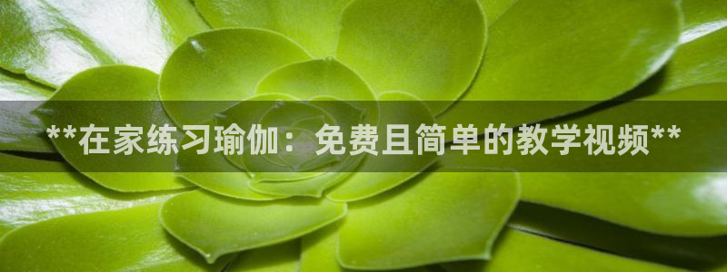 欧洲杯投注官方网站