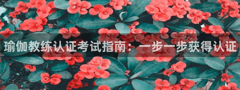 2024欧洲杯竞猜网址