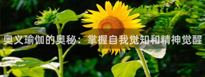 欧洲杯竞猜手机app推荐