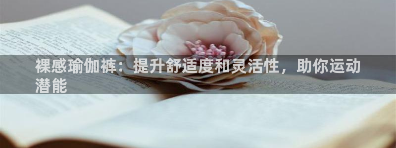 欧洲杯投注官方网站入口