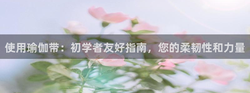 欧洲杯买球手机app