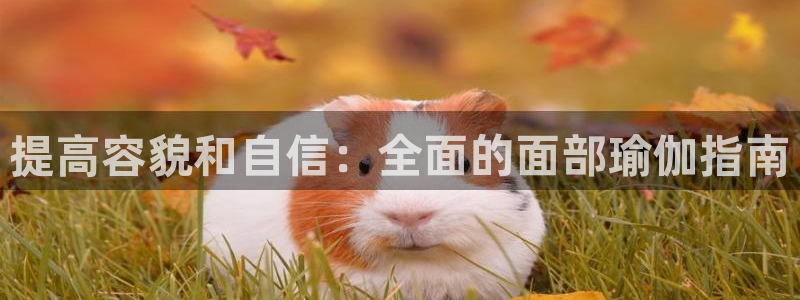 买足球平台哪个比较好