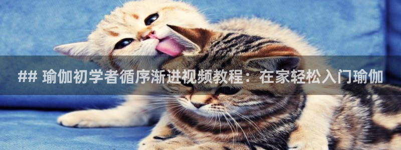 2024欧洲杯买球手机版