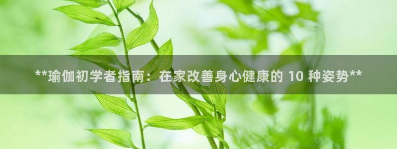 2024欧洲杯买竞猜