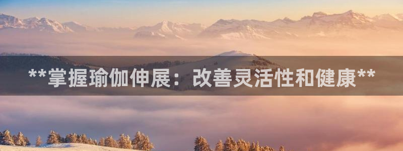 欧洲杯靠谱买球平台
