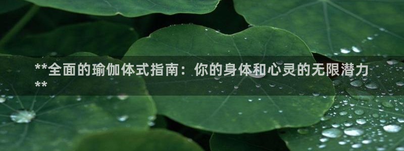 欧洲杯下单平台官网网址